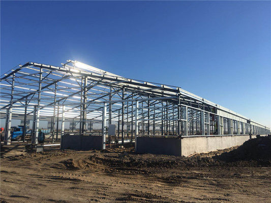 Q235B Cấu trúc thép tiền chế Tòa nhà trang trại chăn nuôi bò