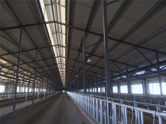 Chuồng bò thép cách nhiệt lắp ghép bằng tấm panel