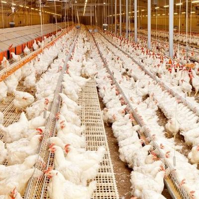 Nhà kho gà thép tiền chế, kết cấu nhẹ Q235B Q355B