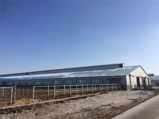 Chuồng bò thép cách nhiệt lắp ghép bằng tấm panel