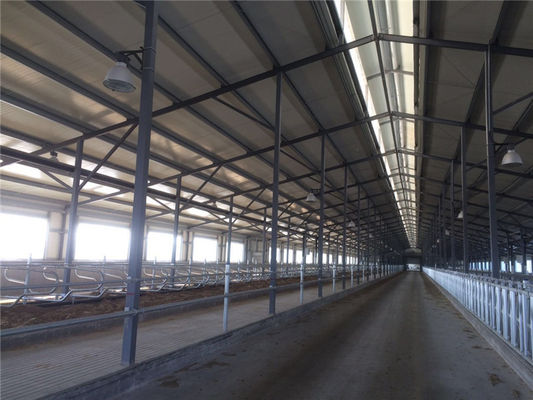 Chuồng bò thép cách nhiệt lắp ghép bằng tấm panel