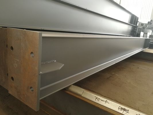Cơ cấu thép Prefab tùy chỉnh Xây dựng Vật liệu xây dựng Xưởng kho Áp treo Lưu trữ lạnh Xây dựng Prefab