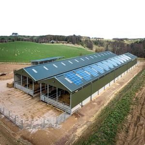 Nhà chăn nuôi gia cầm kết cấu thép tiền chế với tấm panel sandwich thép mạ kẽm