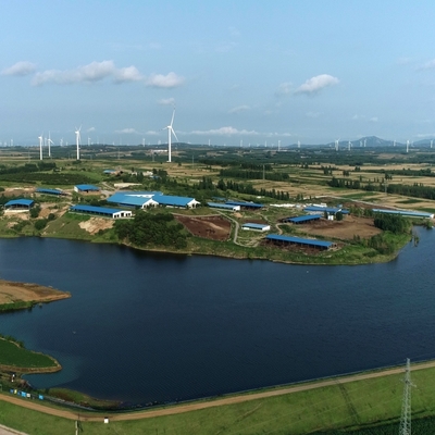 Chuồng bò với khung thép mạ kẽm & mái che hở hông cho trang trại bò sữa, bò thịt & chăn nuôi gia súc, chi phí thấp & lắp ráp nhanh chóng
