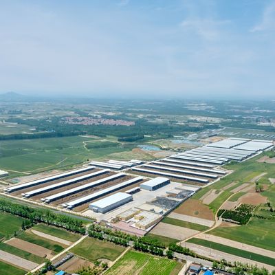 Thiết kế cung cấp cấu trúc thép hiện đại trại sữa nhà khoan kim loại nhà khoan gia súc với hệ thống thông gió