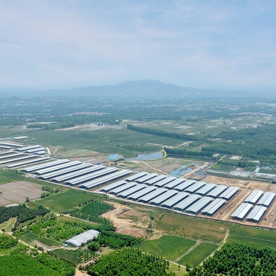 Khung thép nhẹ hiện đại Căn lều gia súc với cấu trúc thép galvanized