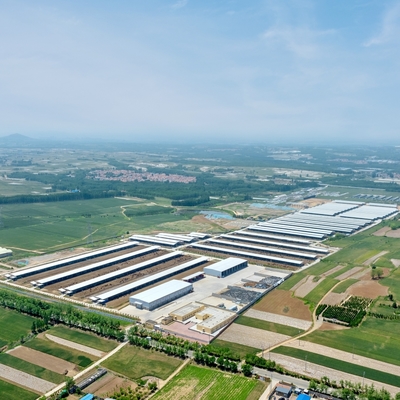 Khung thép nhẹ hiện đại Căn lều gia súc với cấu trúc thép galvanized