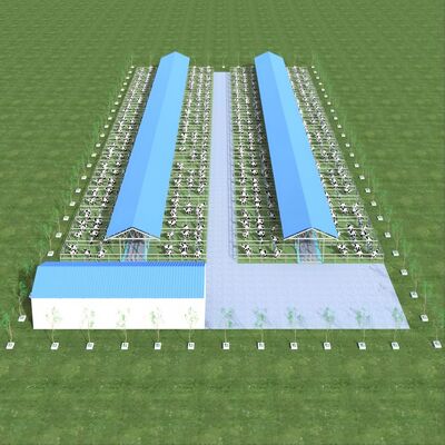 Thiết kế cung cấp cấu trúc thép hiện đại trại sữa nhà khoan kim loại nhà khoan gia súc với hệ thống thông gió