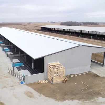 Thiết kế nhà mở Kết cấu thép tùy chỉnh Trang trại gia súc Prefab có mái thông gió