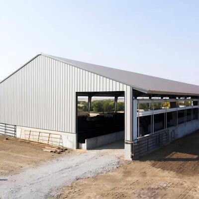Sân bò bằng thép galvanized đắm nóng với cách nhiệt mái nhà