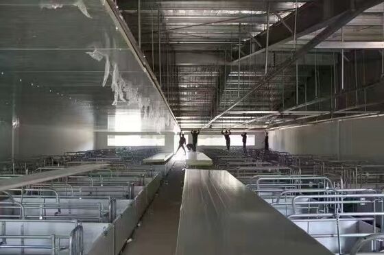Tòa nhà tiền chế Nhà gia cầm Cấu trúc thép Nhà nuôi gia cầm Cấu trúc xây dựng thép cho chuồng bò