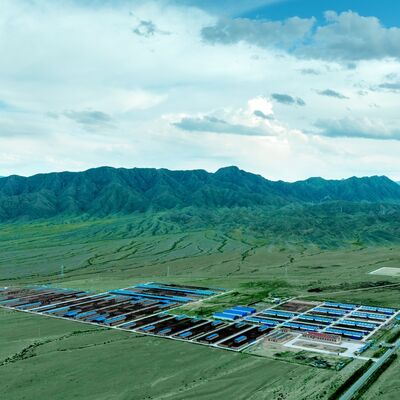 Long Serive Life Prefab Steel Structure Căn lều gia súc với xử lý bề mặt