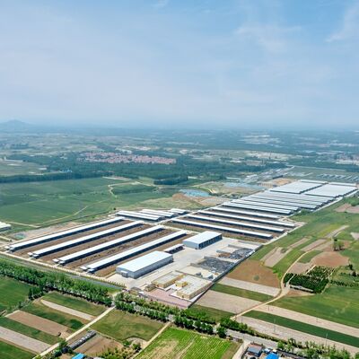Long Serive Life Prefab Steel Structure Căn lều gia súc với xử lý bề mặt