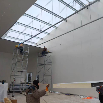 Pre Engineered Steel Structure Hangar with Sandwich Panel Insulation for Cold Storage