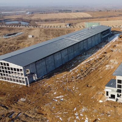 Cấu trúc thép cách điện được chế tạo sẵn Nhà gia cầm cho trang trại lớp